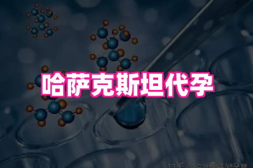 海口助孕网站 1