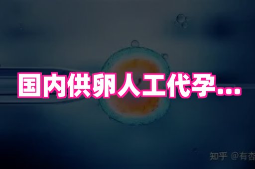 海口助孕网站 3