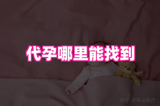 海口助孕网站 4